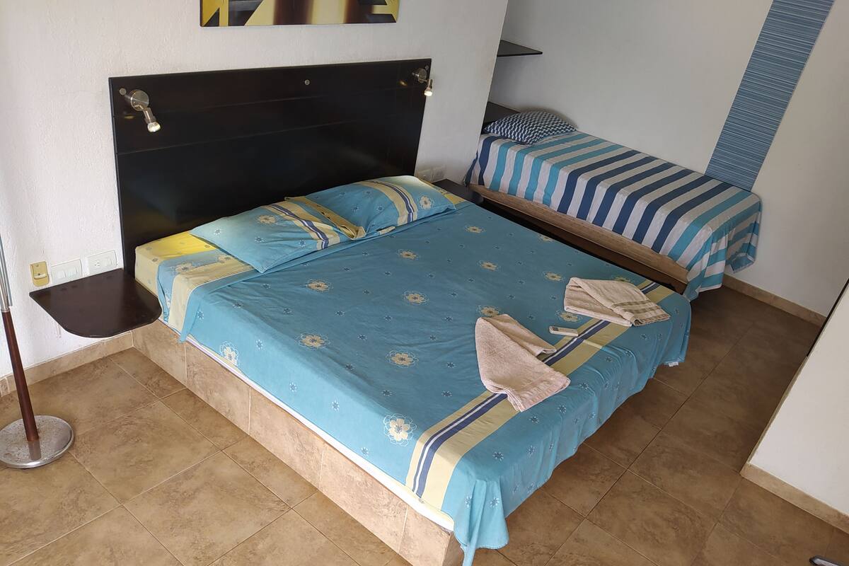 Traditional Studio, 1 King Bed