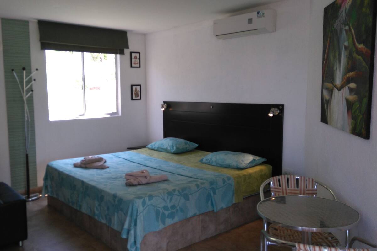 Traditional Studio, 1 King Bed