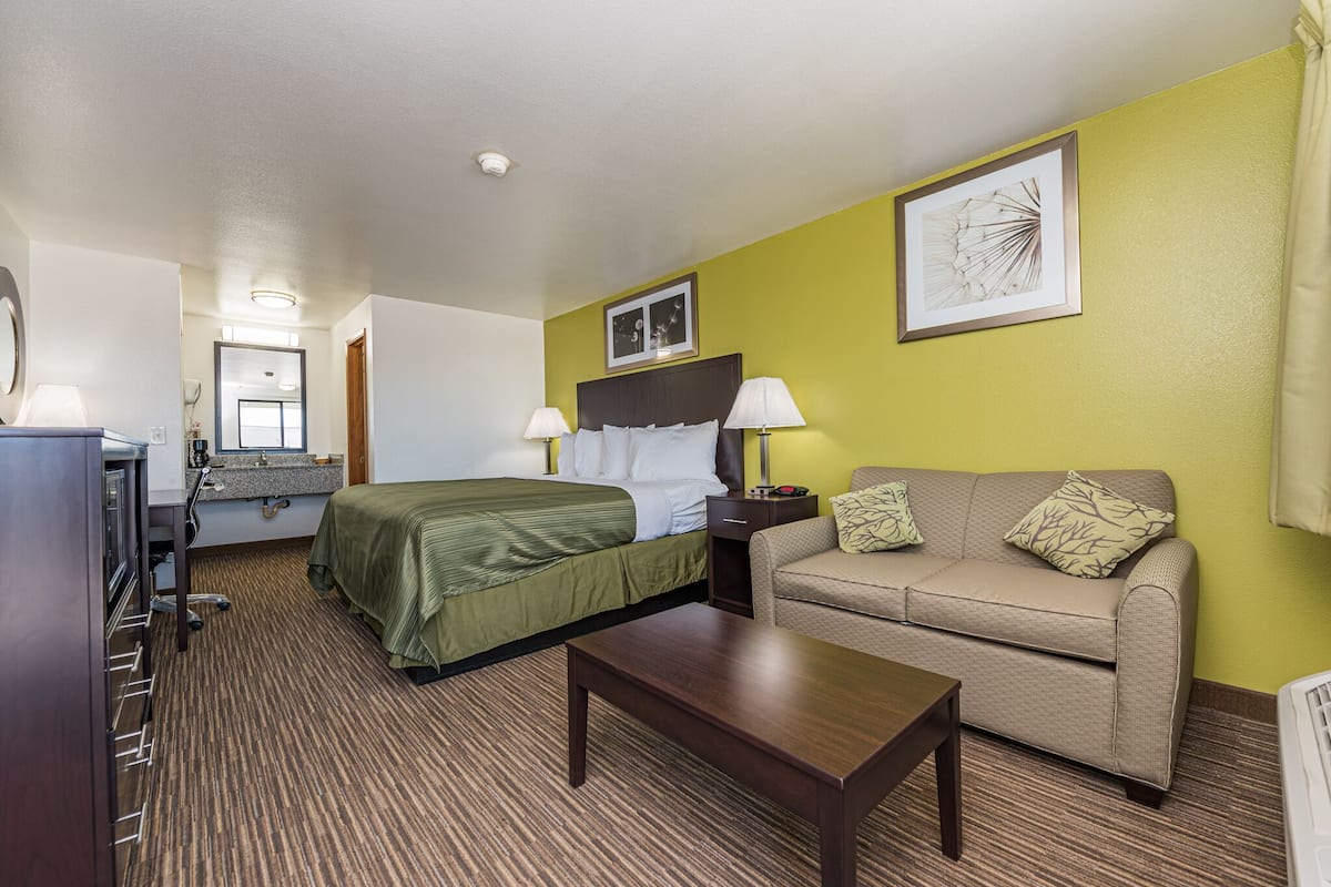 Una habitación de hotel con cama, sofá, escritorio con lámpara y un cuadro en la pared.