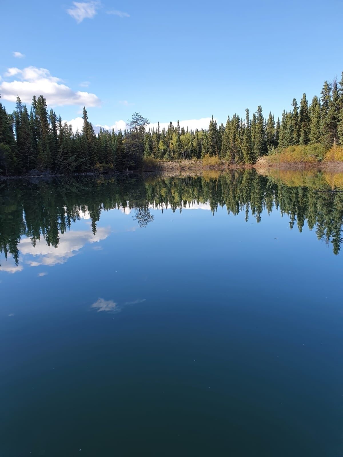 Un lago tranquilo que refleja árboles y un cielo despejado.
