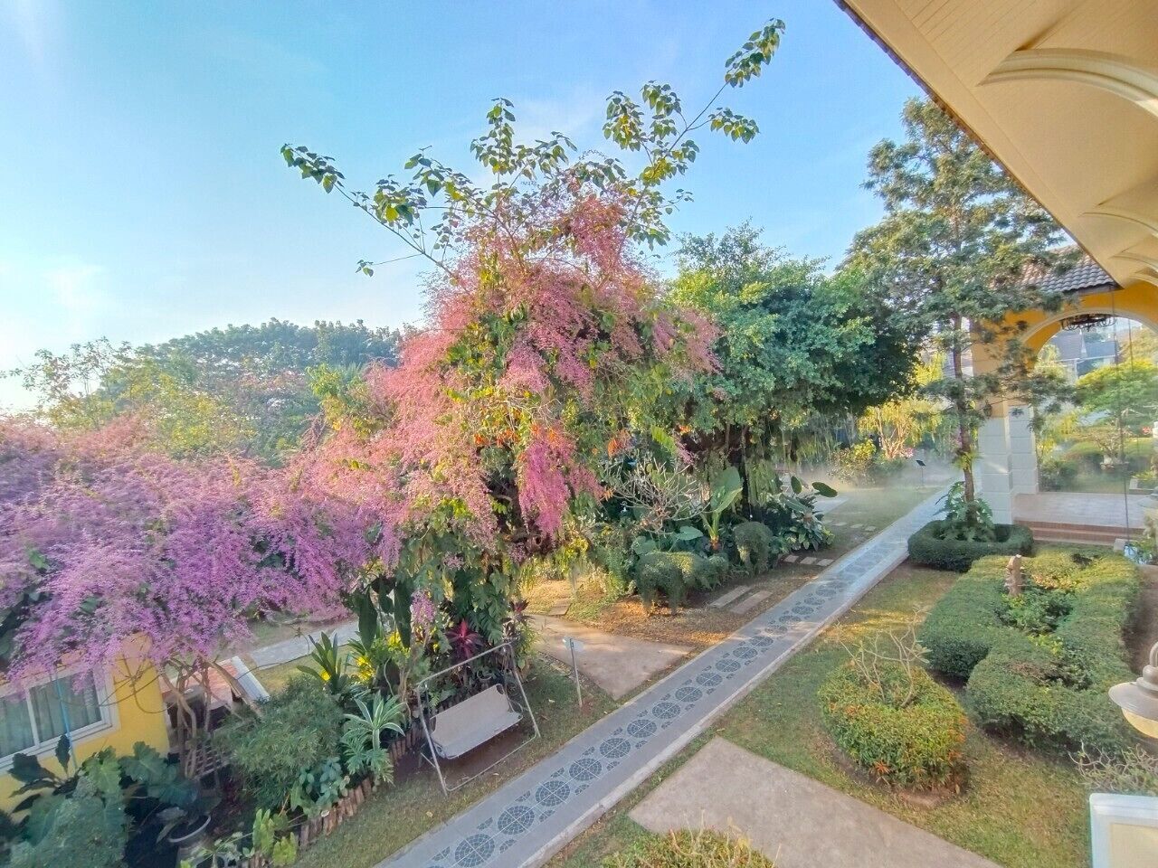 Un sendero de jardín con diversas plantas y árboles, incluyendo un árbol de flores rosadas destacadas.