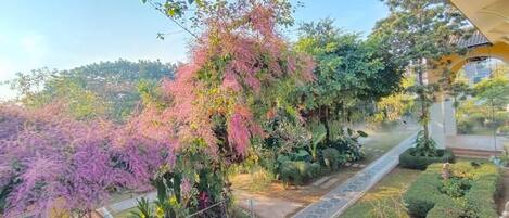Un sendero de jardín con diversas plantas y árboles, incluyendo un árbol de flores rosadas destacadas.