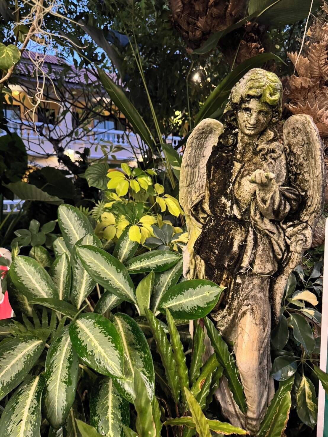A statue of an angel surrounded by lush green foliage.