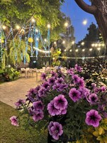 Televisión de pantalla plana