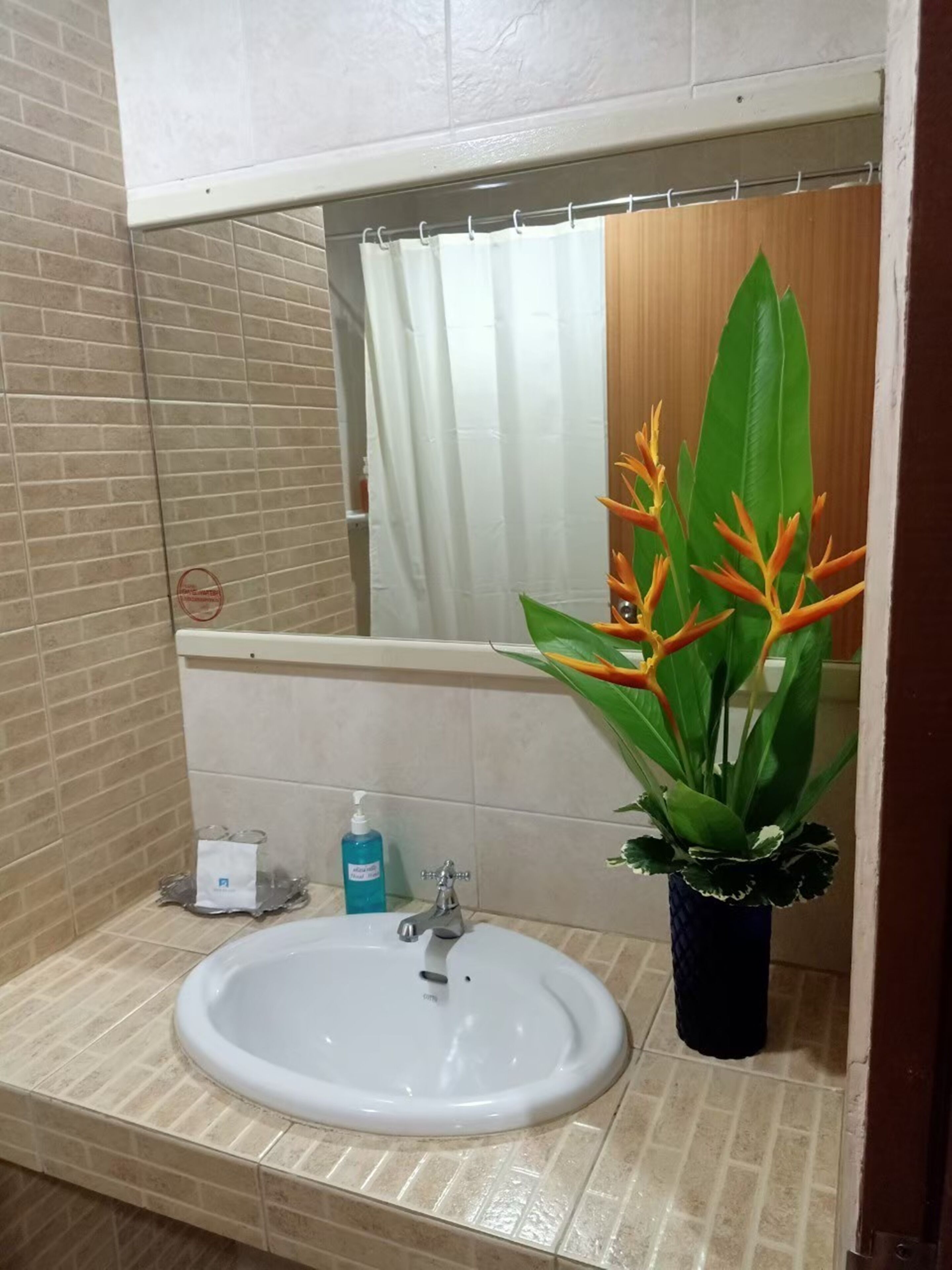 Un baño con lavamanos blanco, un espejo y cortina de ducha.