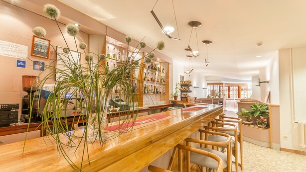Zona de bar con mostrador y taburetes de madera, rodeada de estanterías con botellas y plantas.