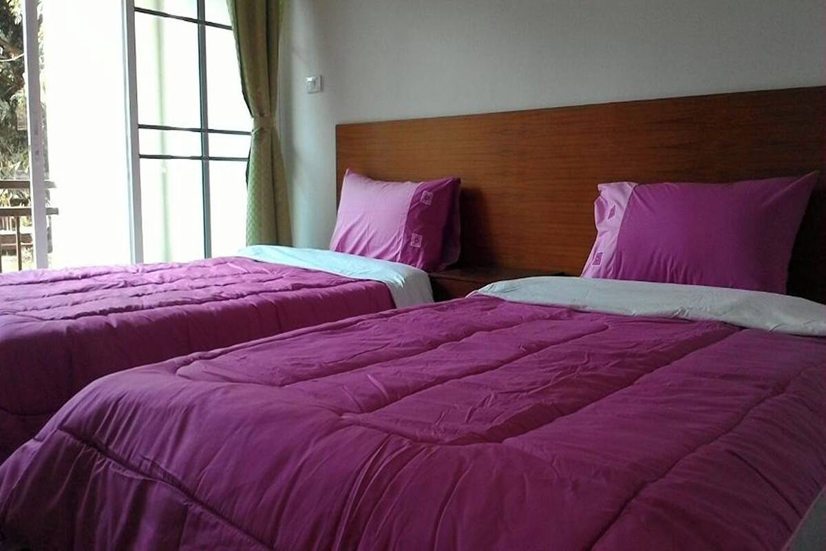 Two beds with purple bedding, a wooden headboard, and a window with curtains.