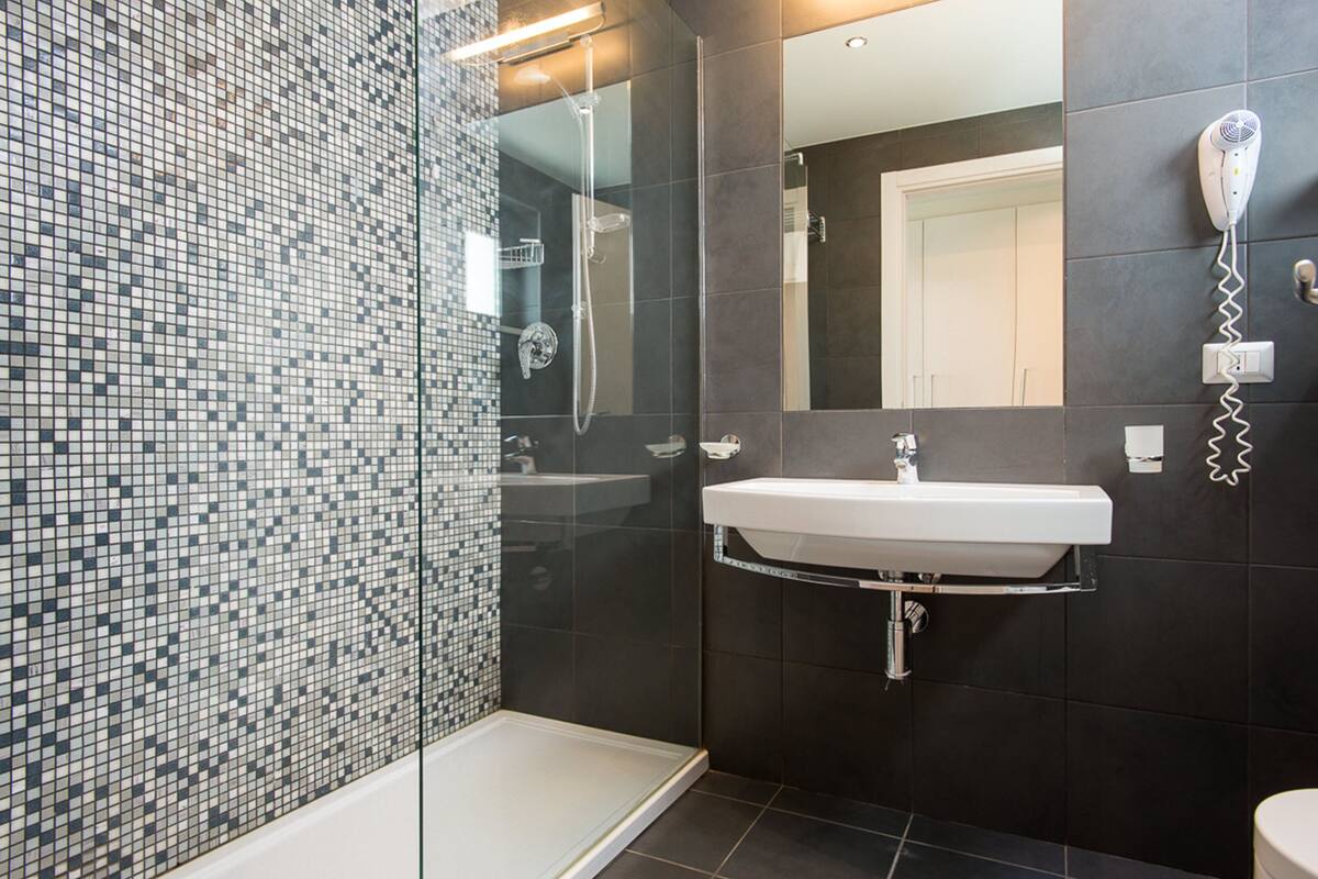 shower, free toiletries, hair dryer, bidet