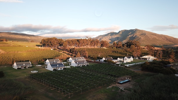 A vineyard estate with multiple white buildings, including a large house and several smaller structures, surrounded by lush greenery and a mountainous backdrop. - Endless Vineyards at Wildekrans Wine Estate (Bot River)