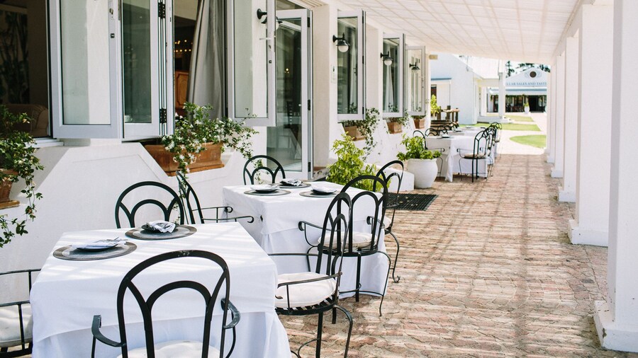 Endless Vineyards at Wildekrans Wine Estate