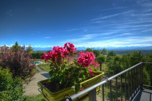 View from property - The Green GuestHouse (Barolo)