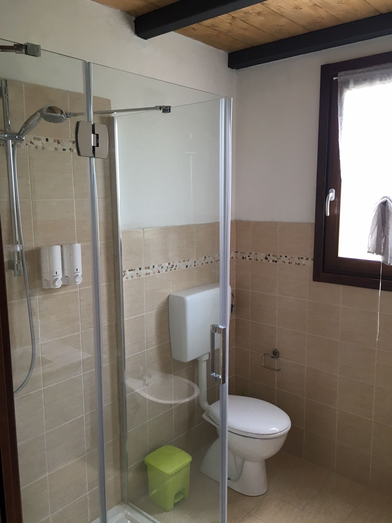 A bathroom with a glass-enclosed shower, a toilet, and a window.