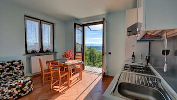 Appartement, 1 chambre, balcon, vue montagne | Cuisine privée