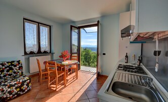 Apartment, 1 Bedroom, Balcony, Mountain View | Private kitchen
