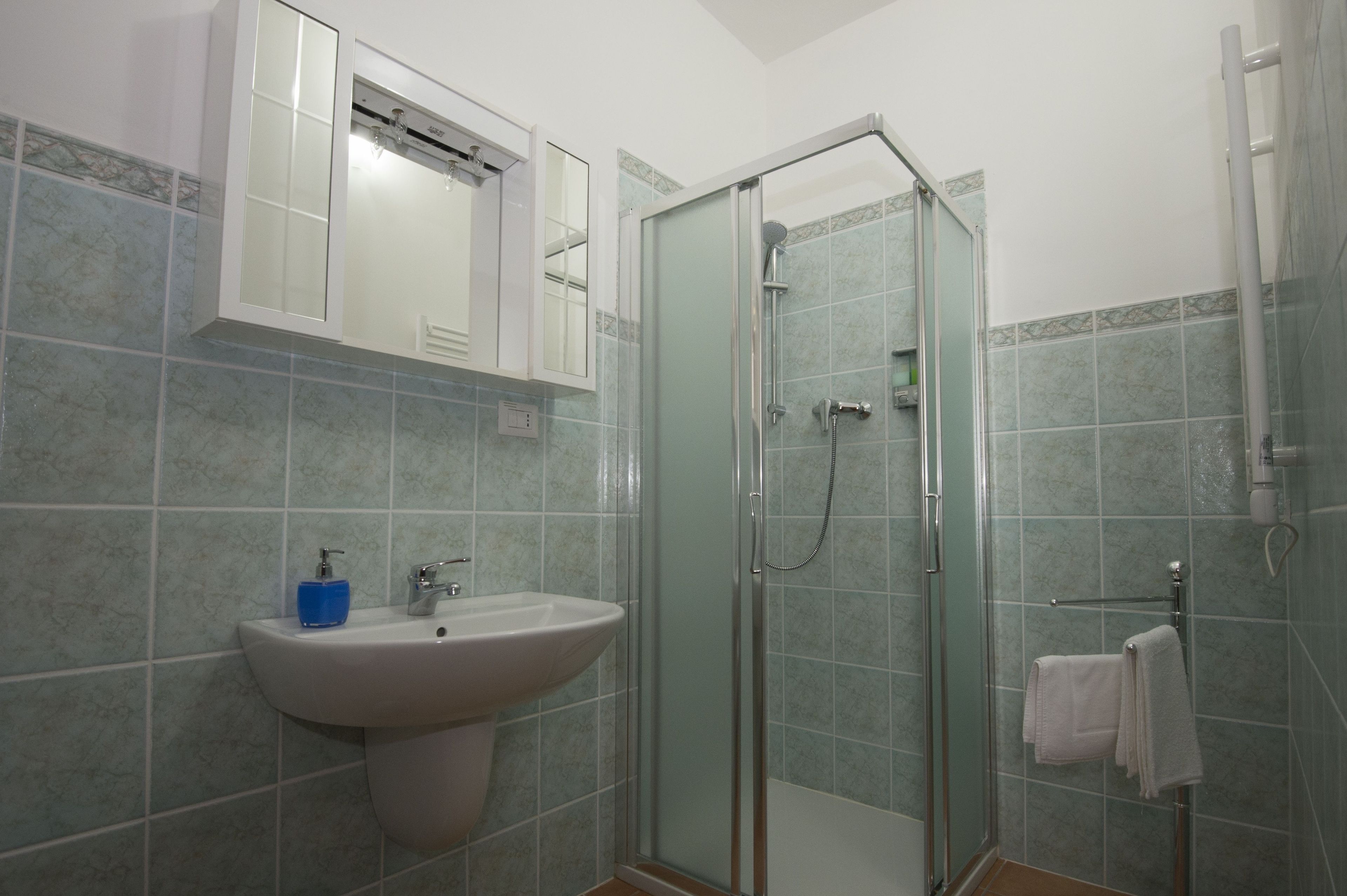 A bathroom with a glass-enclosed shower, a sink with a soap dispenser, and a towel rack with towels.