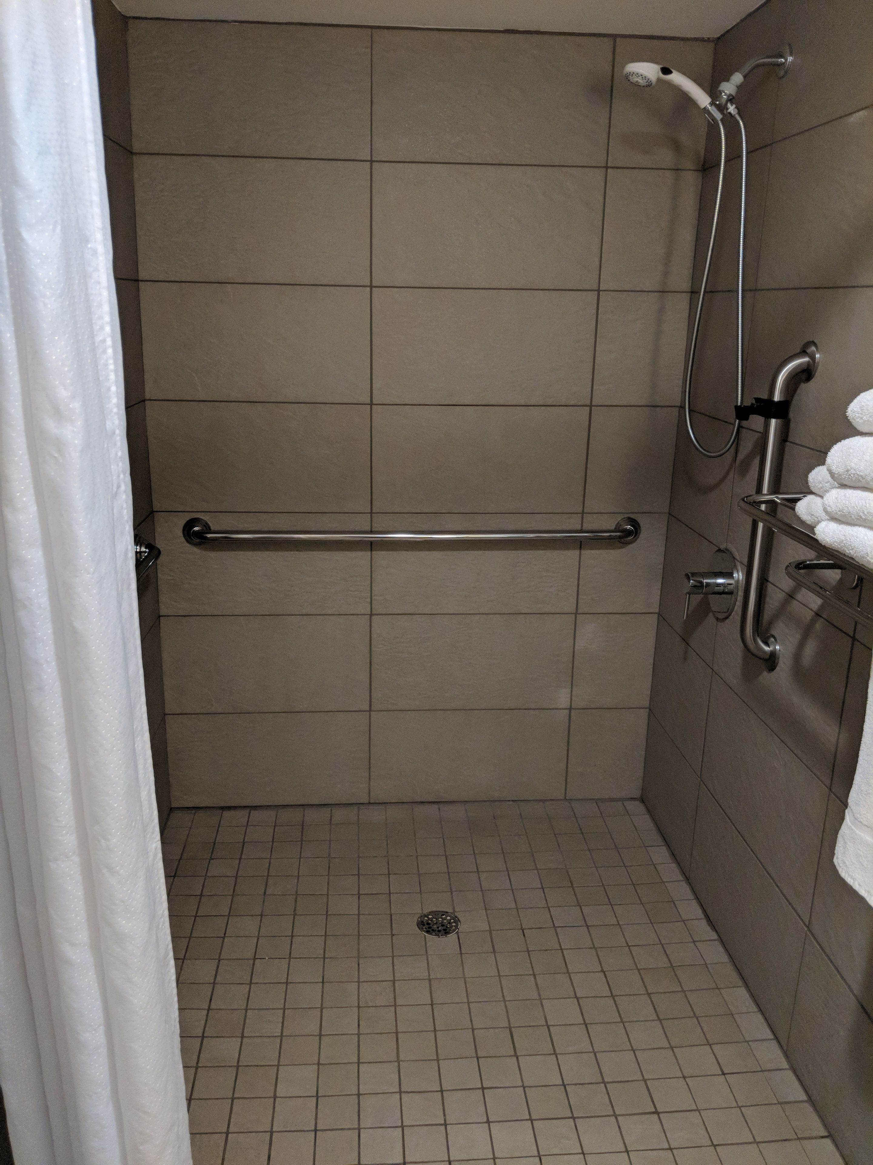 room, 1 king bed, accessible, non smoking | bathroom shower