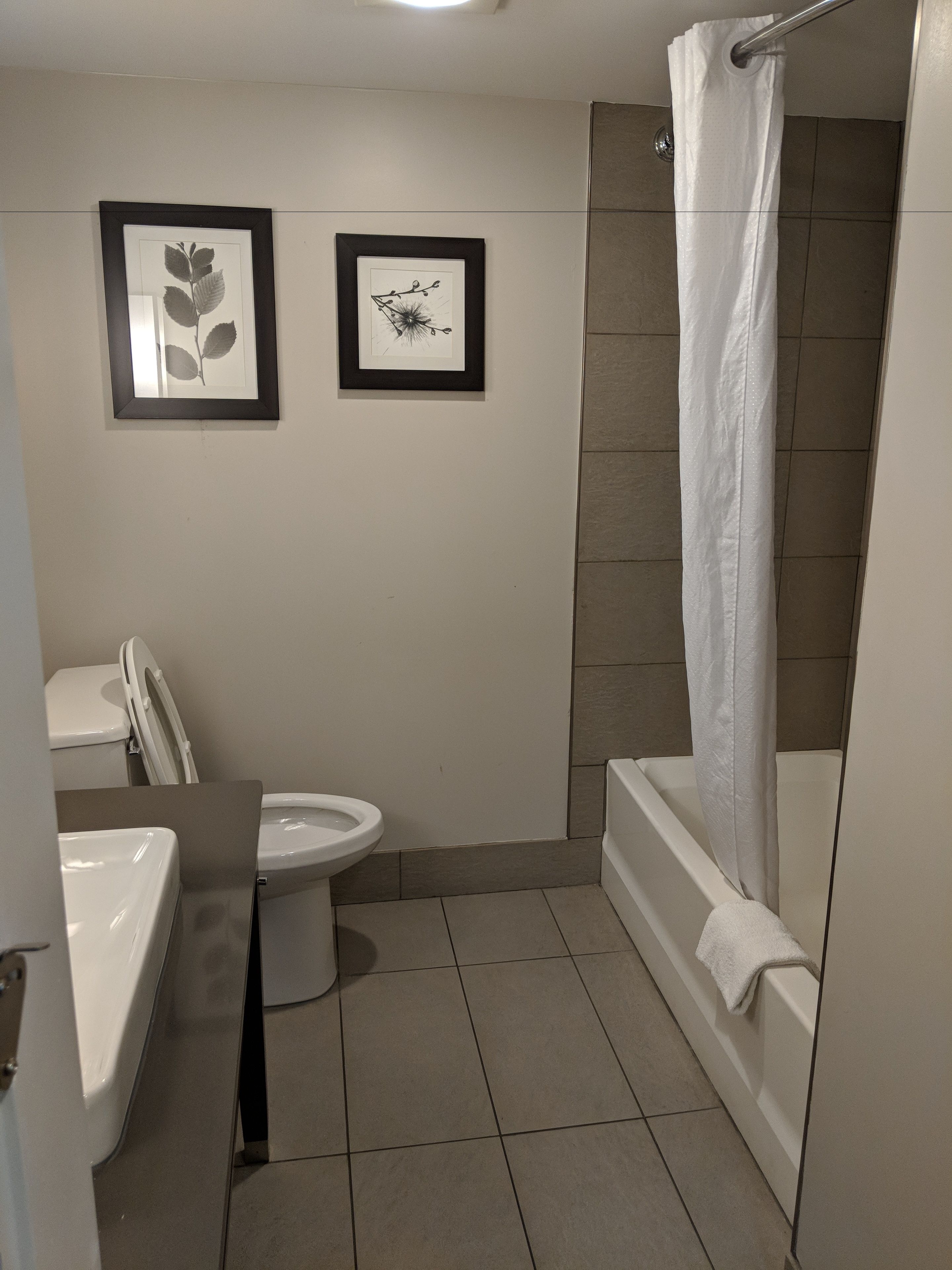 combined shower/bathtub, free toiletries, hair dryer, towels