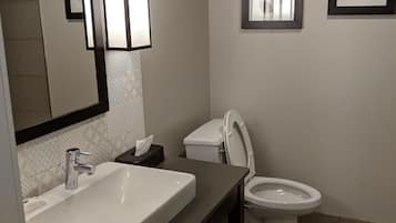 Une salle de bain moderne avec un grand miroir, un lavabo, des toilettes et deux tableaux encadrés accrochés au mur.