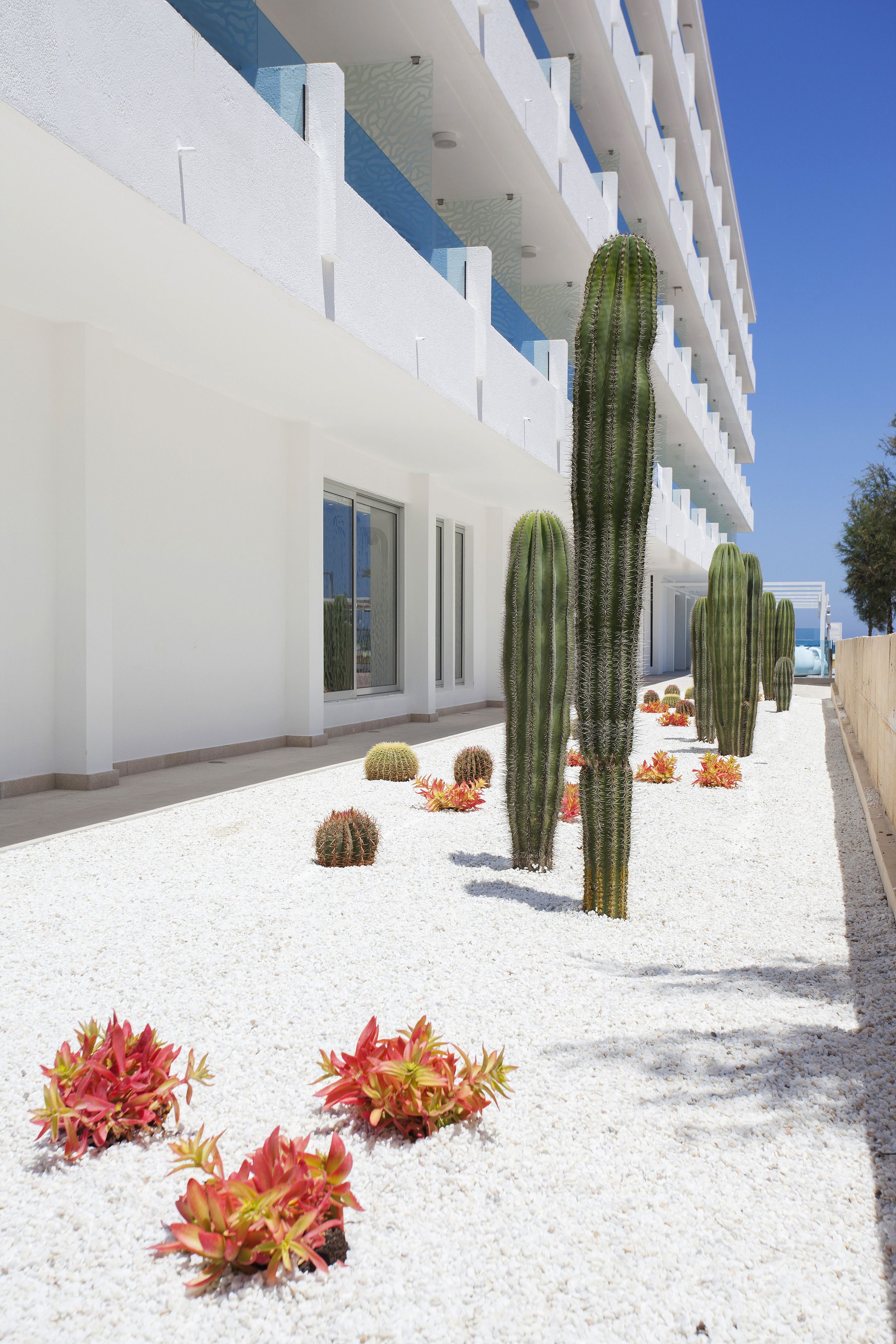 Photo - The Sea Hotel by Grupotel - Adults Only