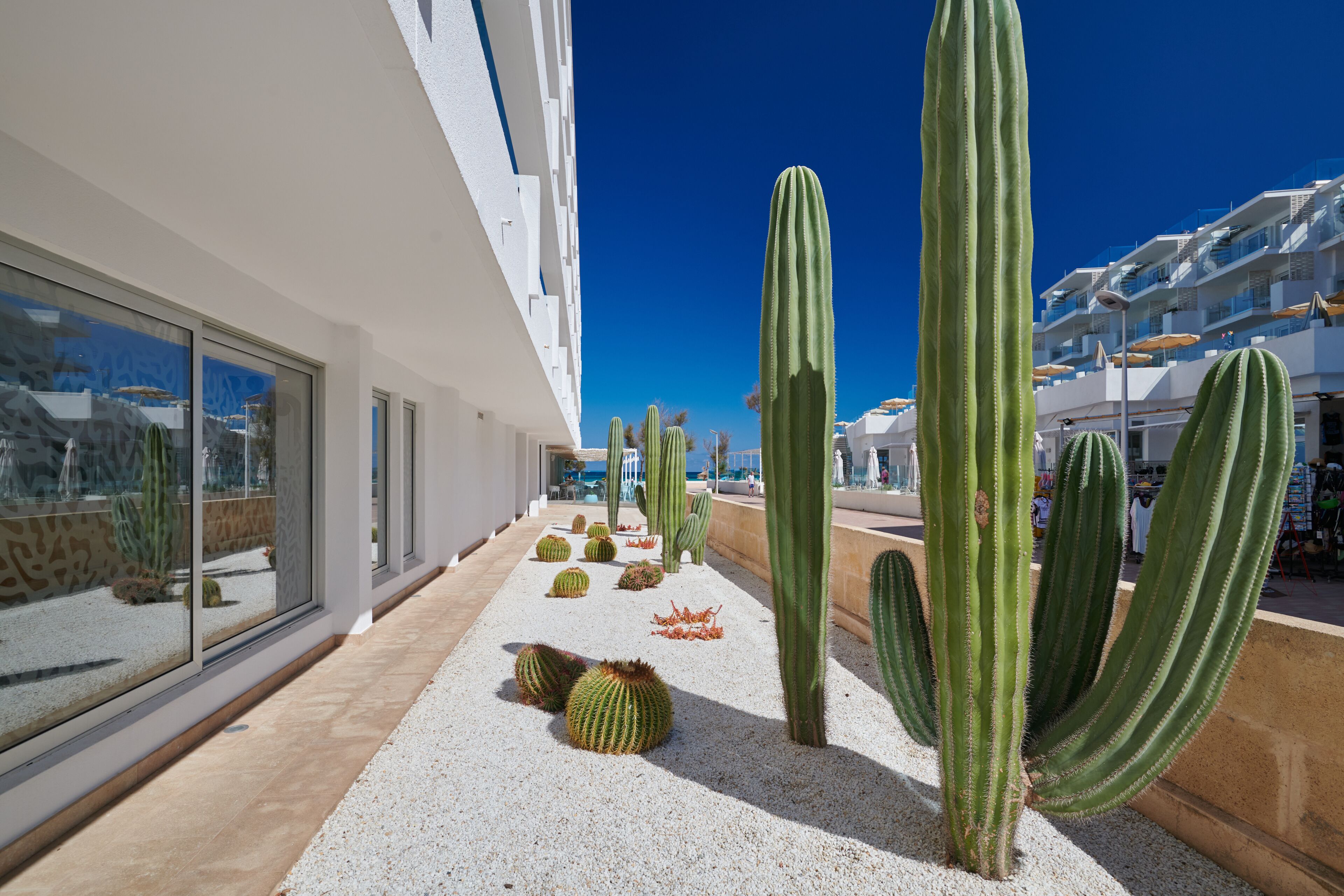 Photo - The Sea Hotel by Grupotel - Adults Only