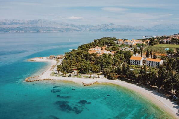 在海滩、水肺潜水