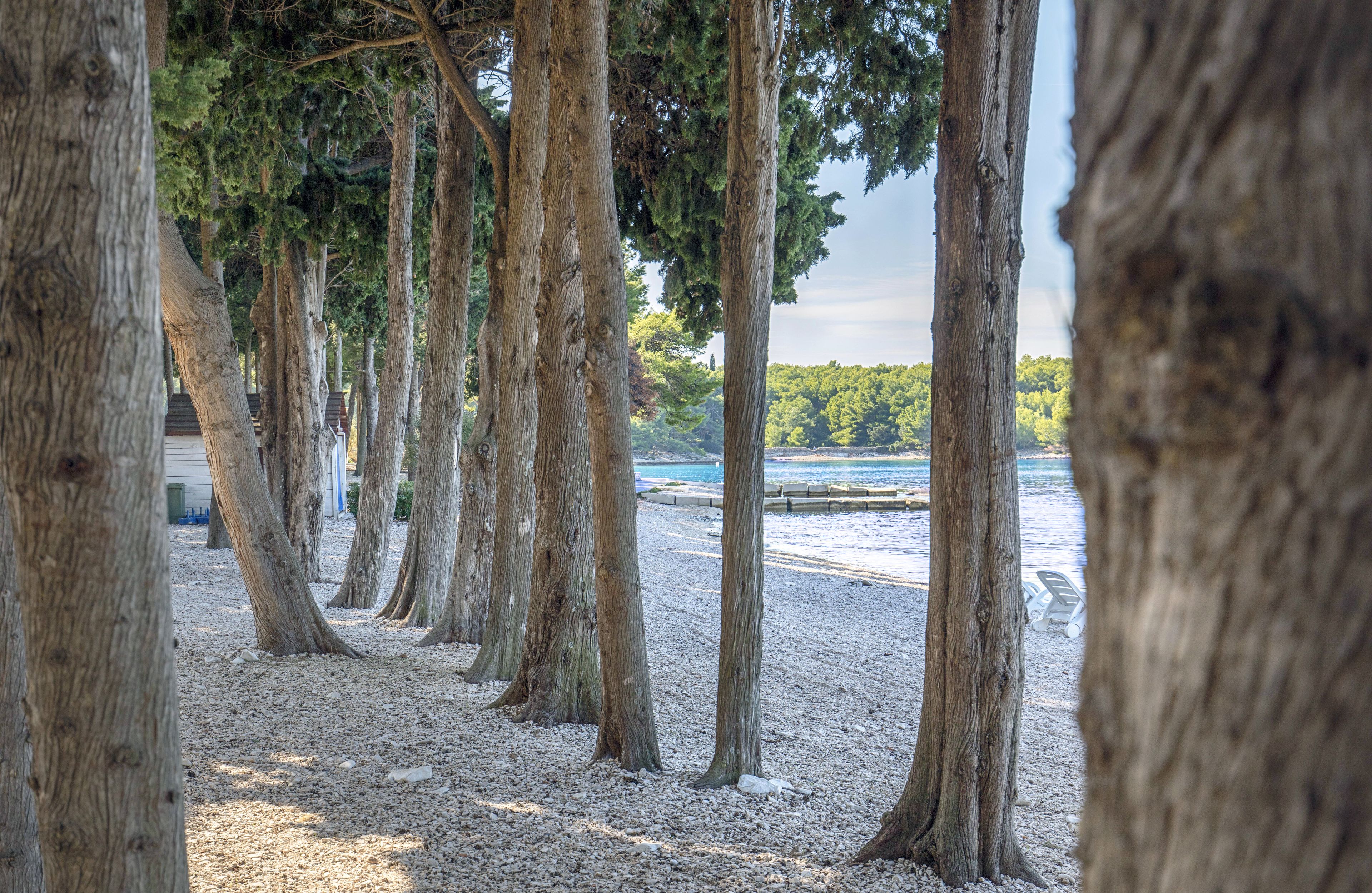 On the beach, scuba diving