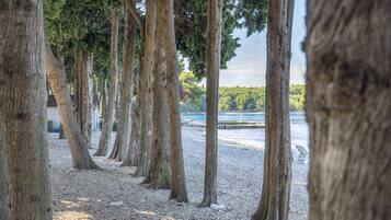 Di pantai, selam skuba