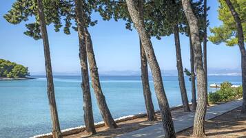 On the beach, scuba diving