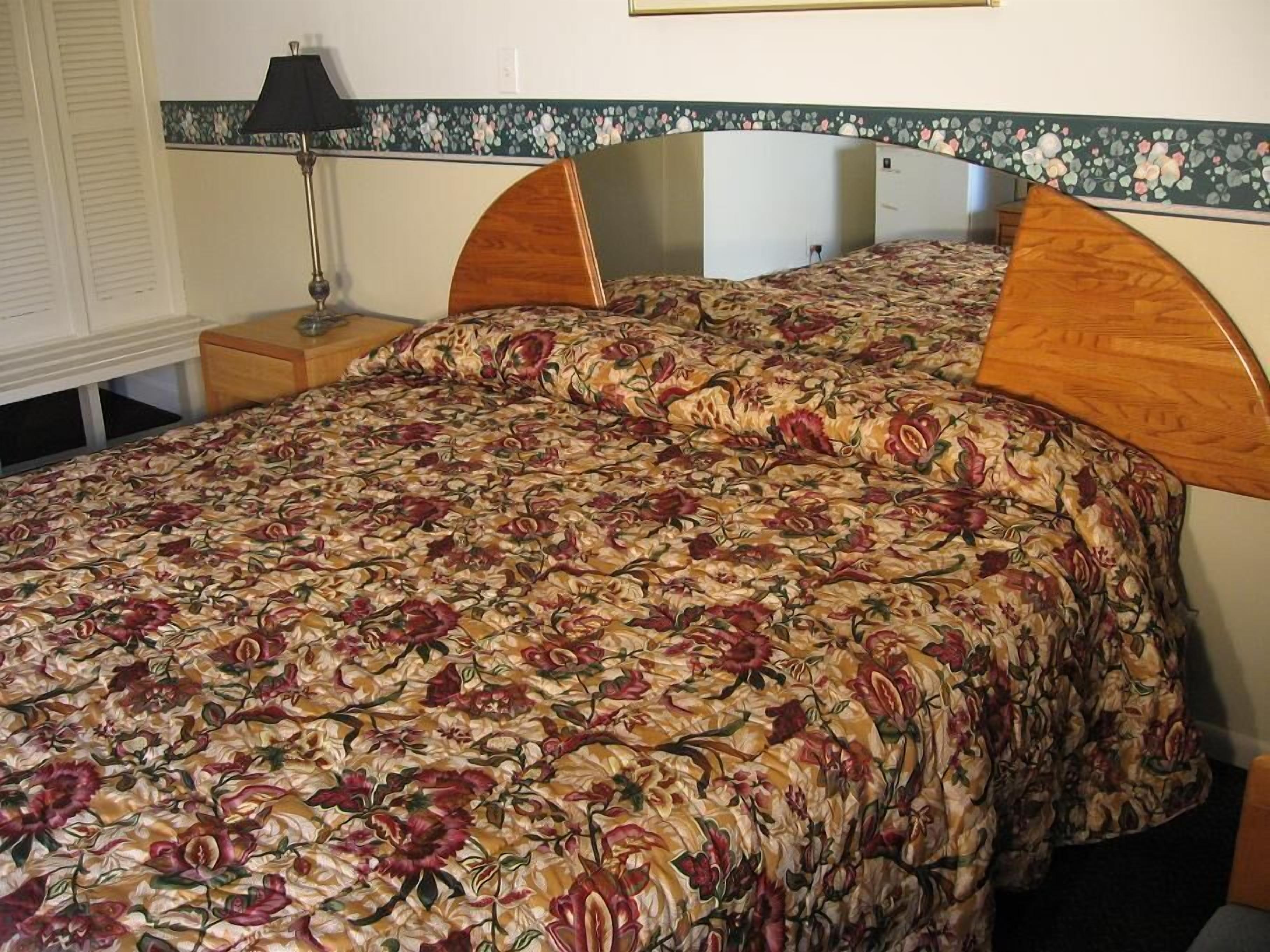 A bedroom with a floral bedspread, wooden headboard, a nightstand with a lamp, and a wall with a decorative border.