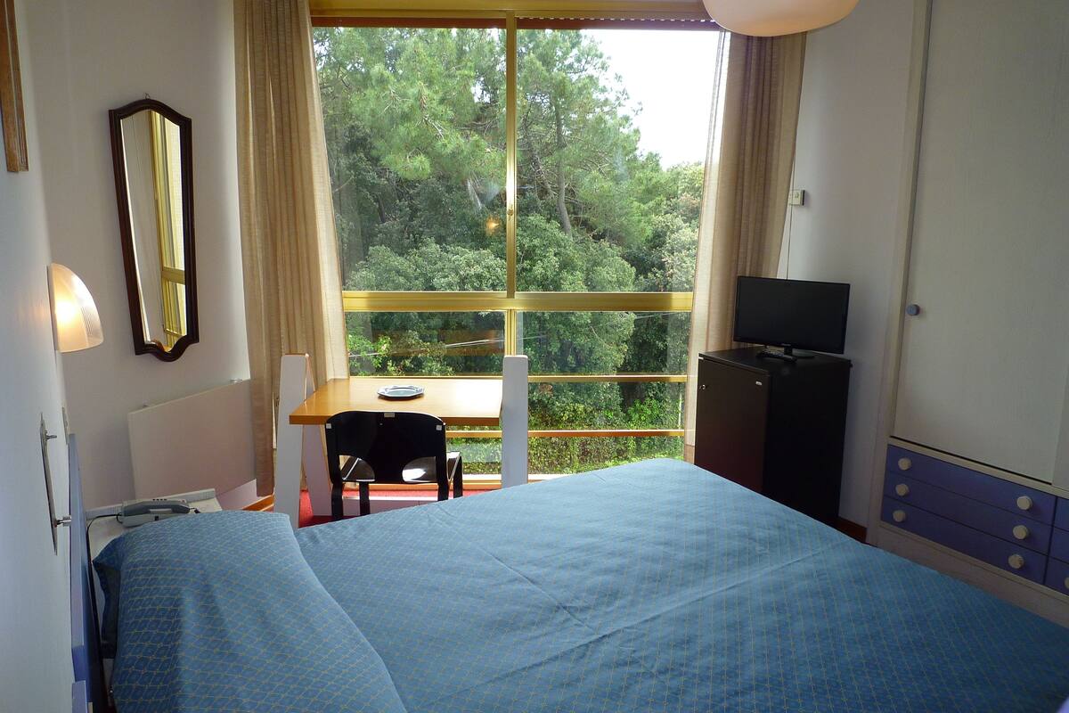Quarto de hotel com cama, escrivaninha, cadeira, televisão e guarda-roupa.