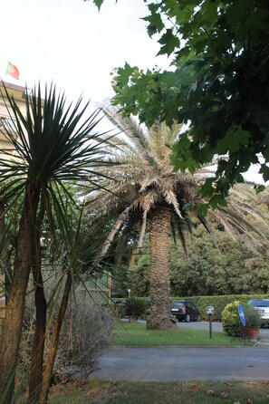 Garden - Hotel Brasilia (Pietrasanta)