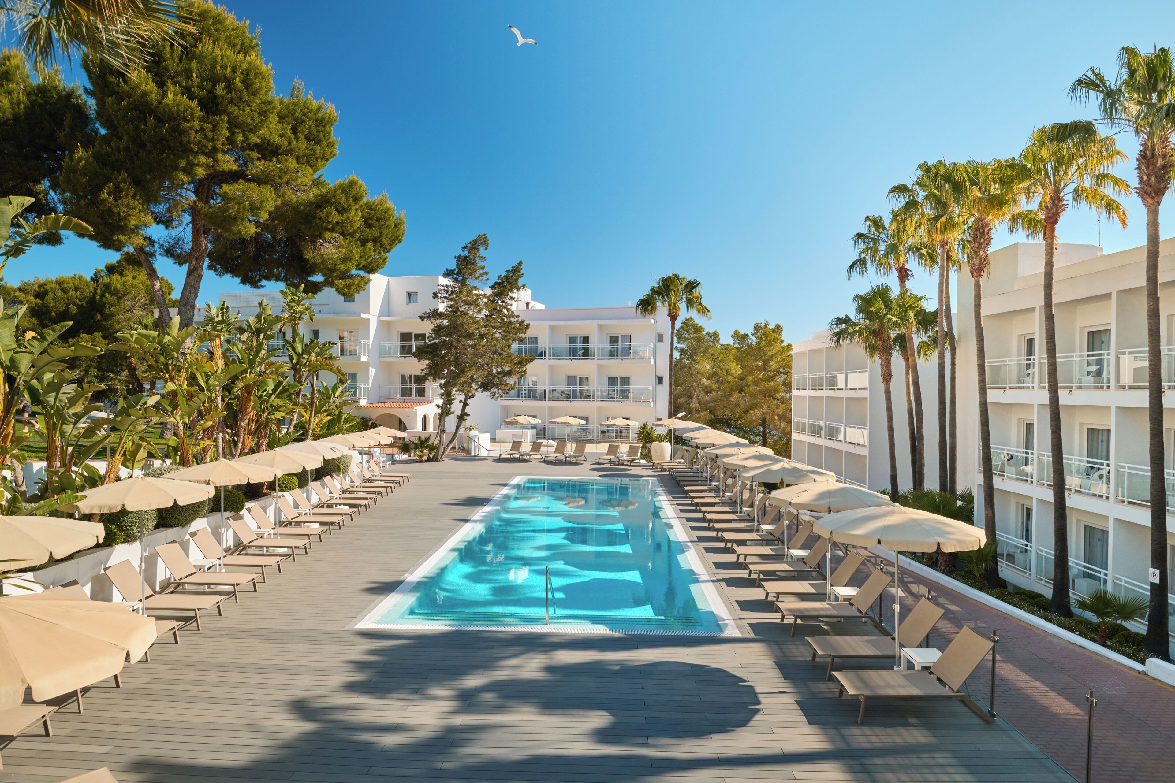 A pool area with lounge chairs and umbrellas, surrounded by palm trees and a building with balconies.