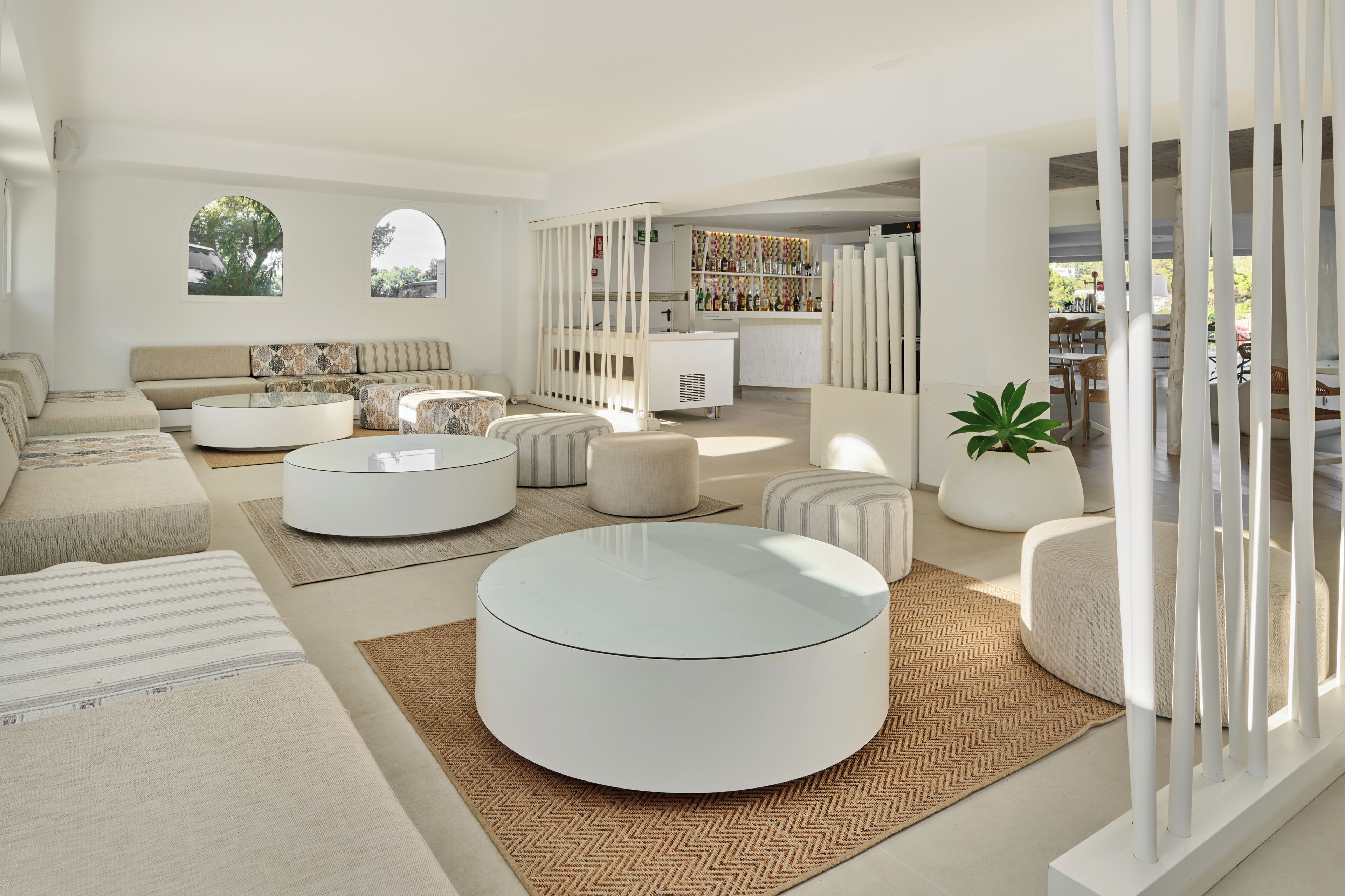 A modern living room with a sofa, ottomans, a coffee table, a bookshelf, and a potted plant.