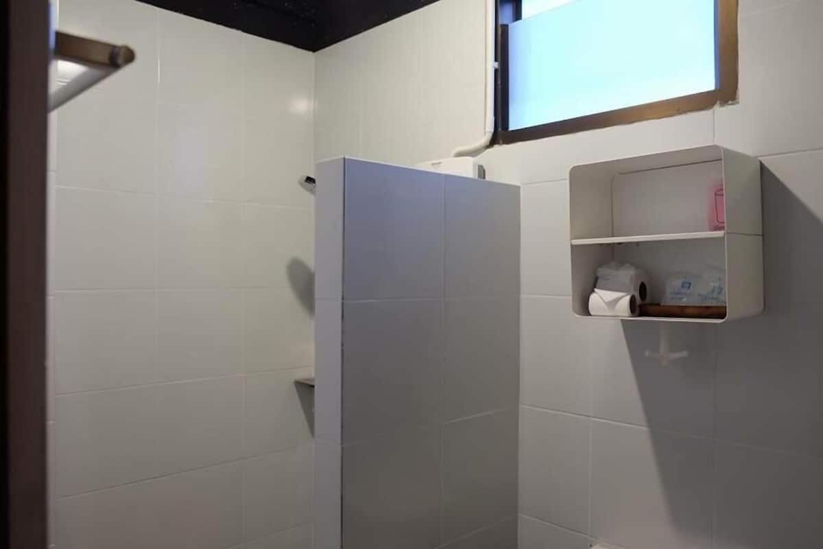 shower, rainfall showerhead, free toiletries, hair dryer