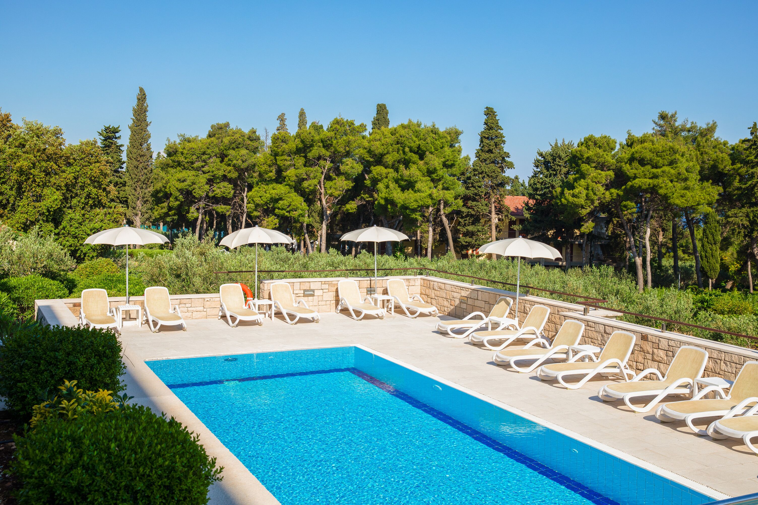 Una piscina con sillones de descanso y sombrillas, rodeada de follaje y árboles.