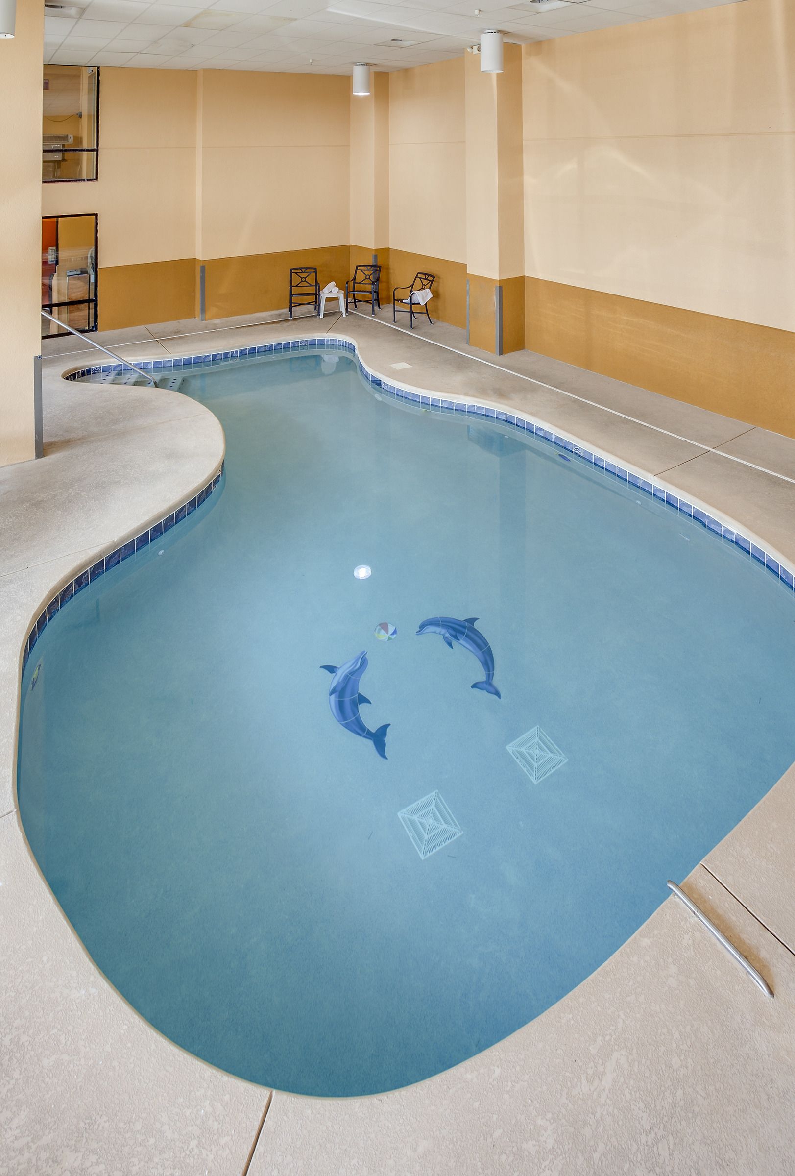 An indoor swimming pool with a dolphin mural, a curved edge, and a tiled floor.