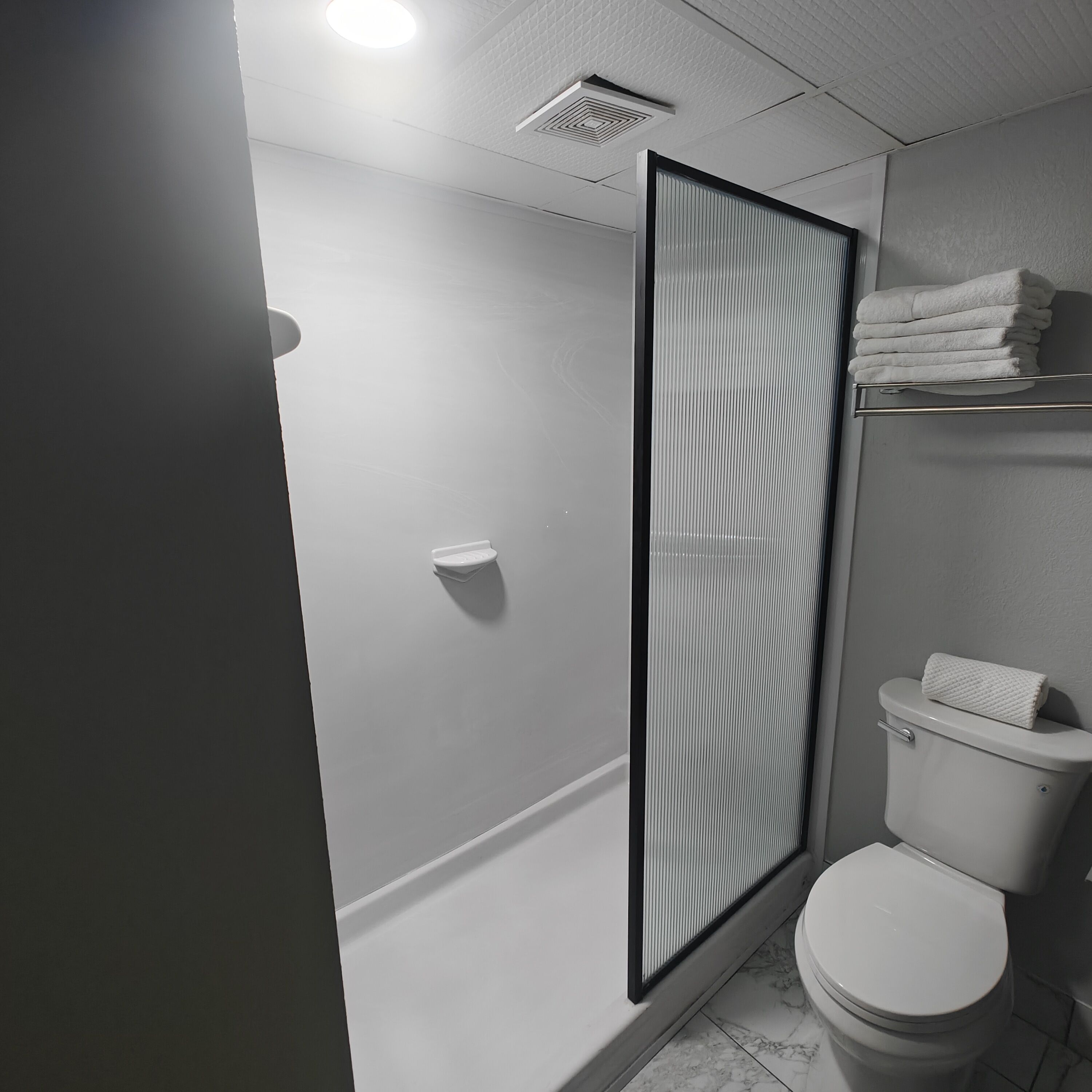 A modern bathroom with a shower enclosure, a toilet, and a towel rack.