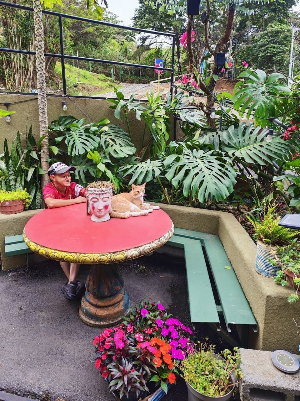 A round table with a red top, surrounded by green benches, and a cat lying on the table.