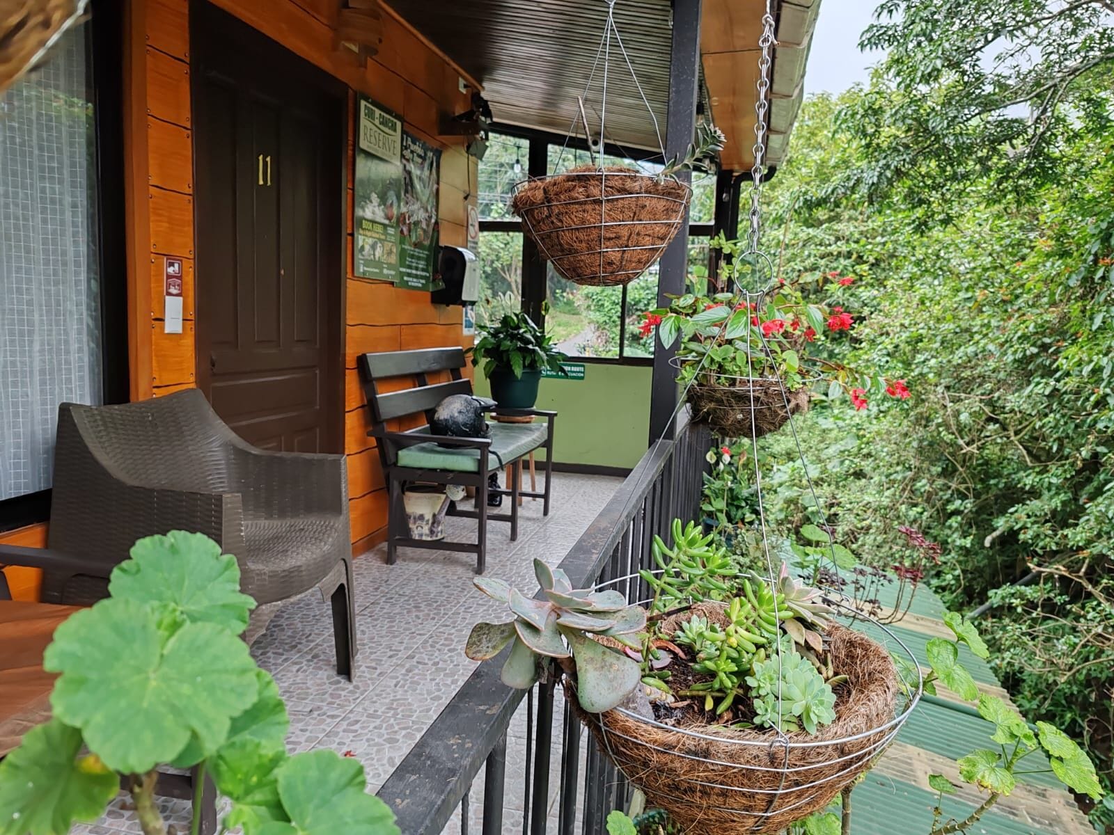 Terraza o patio