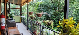 Cabinas El Pueblo - Hostel