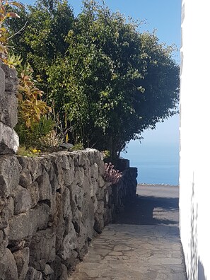 Jardín