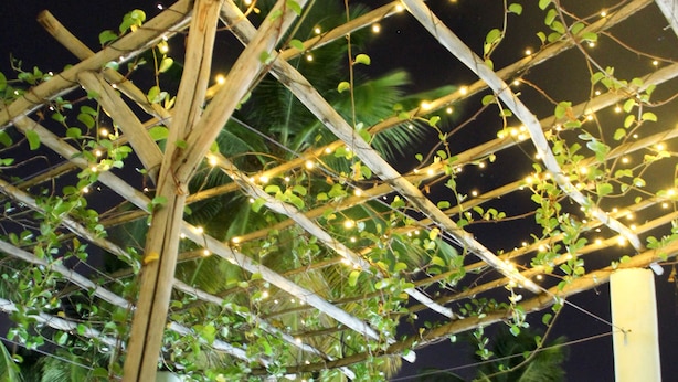 En pergola af træ med lyskæder og klatreplanter, omgivet af palmer.