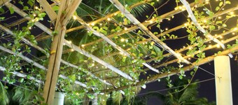 Casa Delfin Guest House