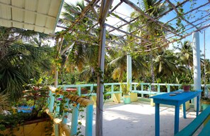 Terrace/patio - Casa Delfin Guest House (Las Terrenas)