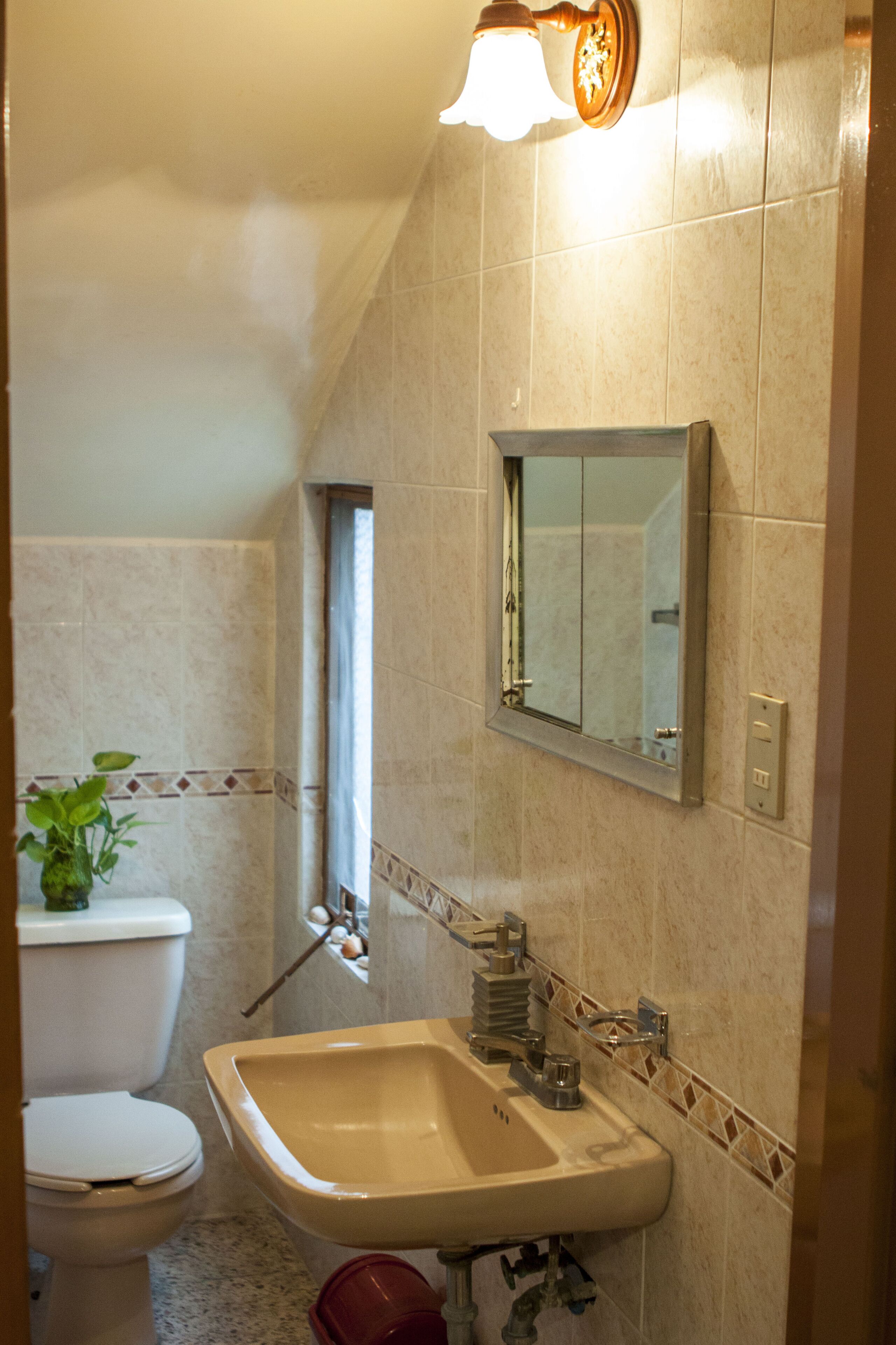 Un baño con inodoro, lavamanos, espejo y una planta en maceta.