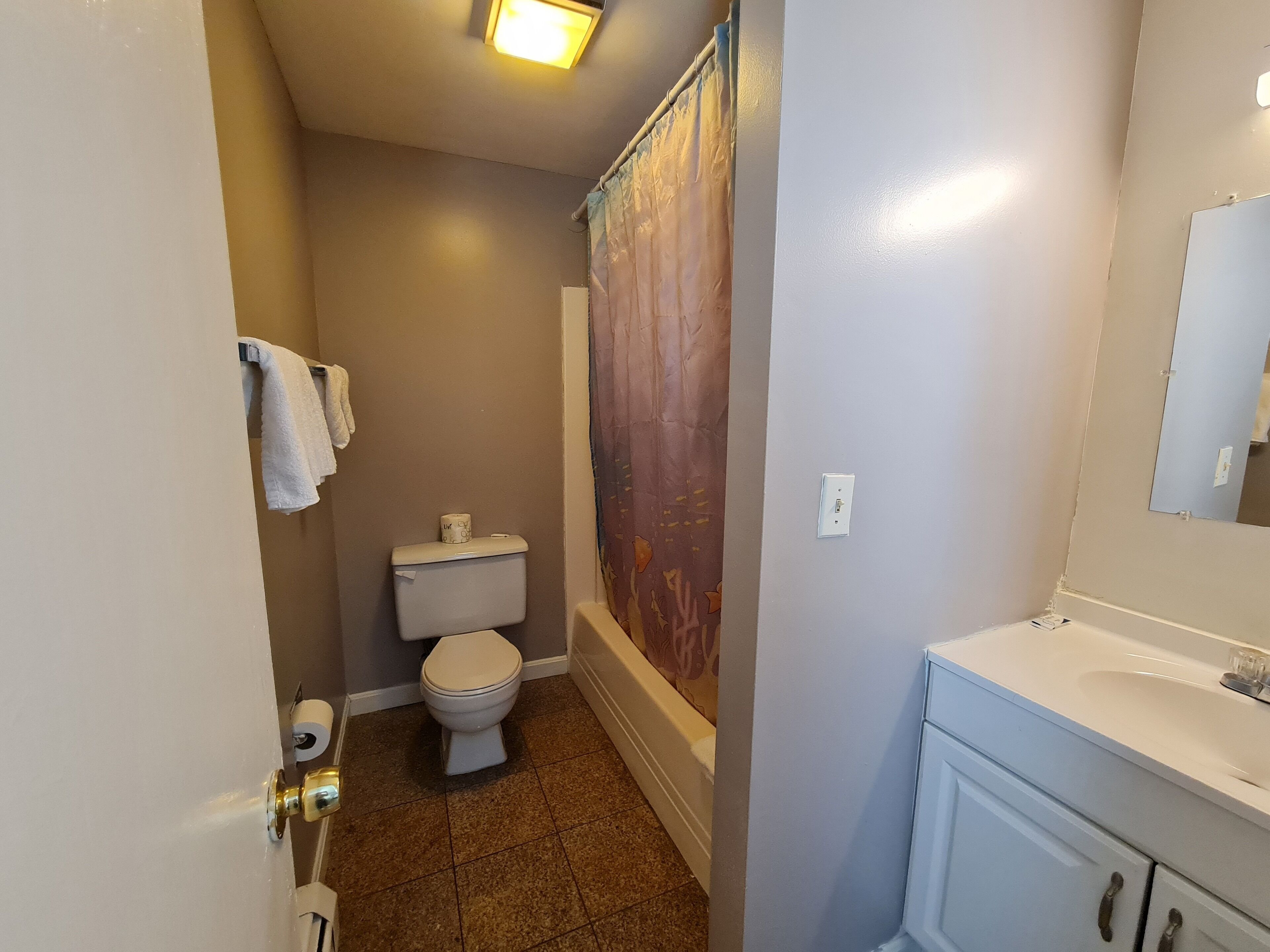 A bathroom with a toilet, sink, and shower curtain.