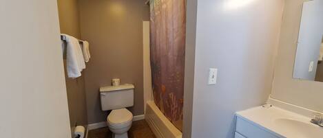 A bathroom with a toilet, sink, and shower curtain.