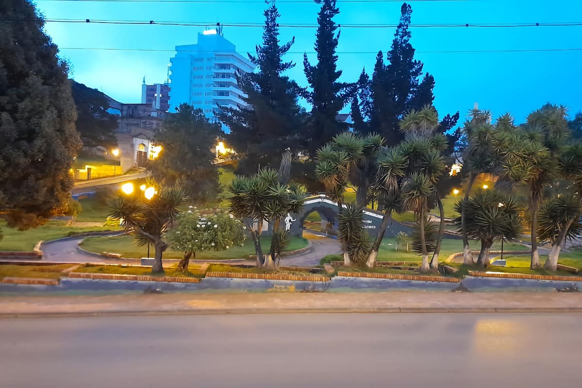 Un área ajardinada con un sendero curvo, palmeras y un puente.