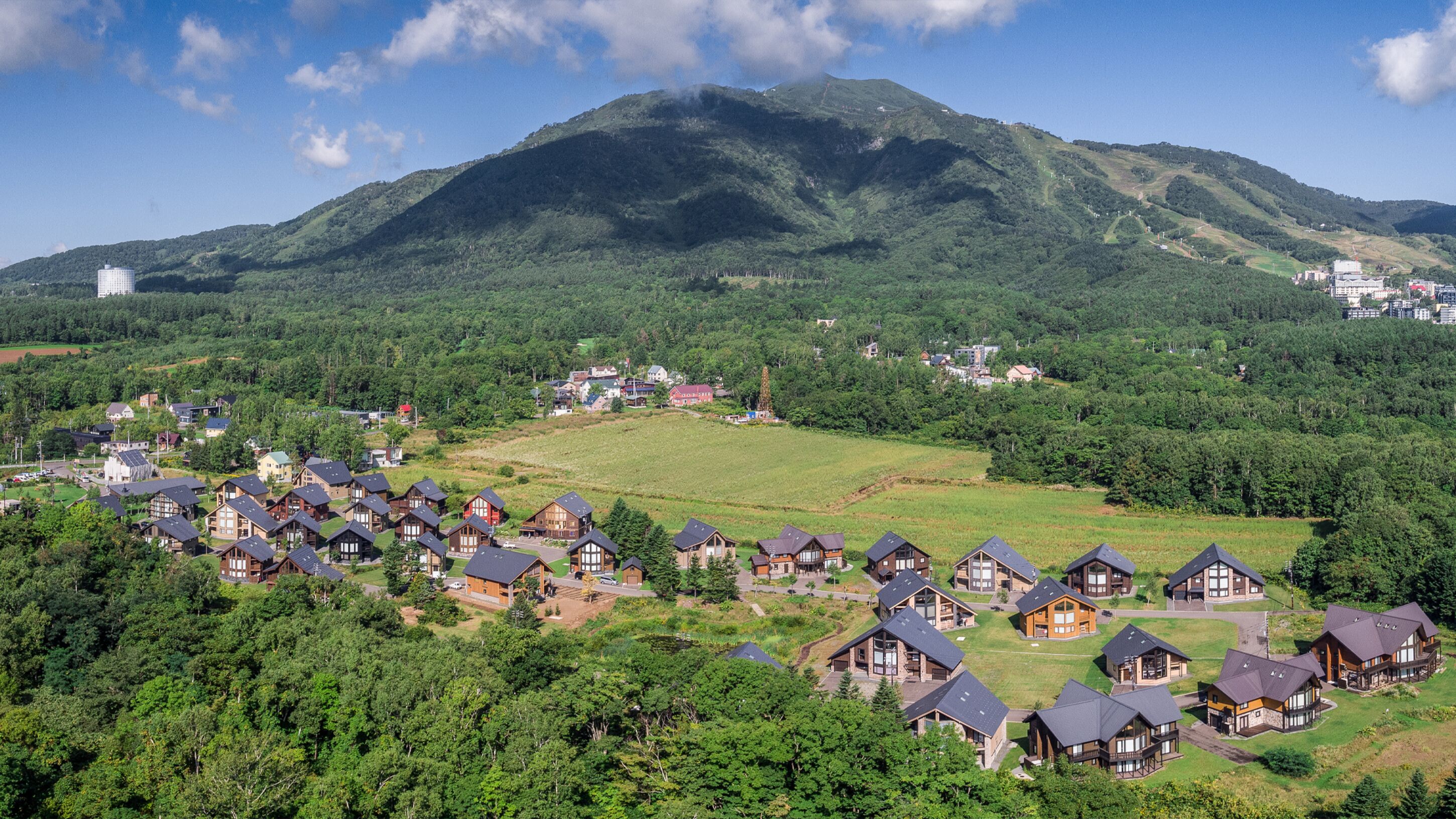 Zona residencial con casas rodeadas de abundante vegetación y una montaña al fondo.