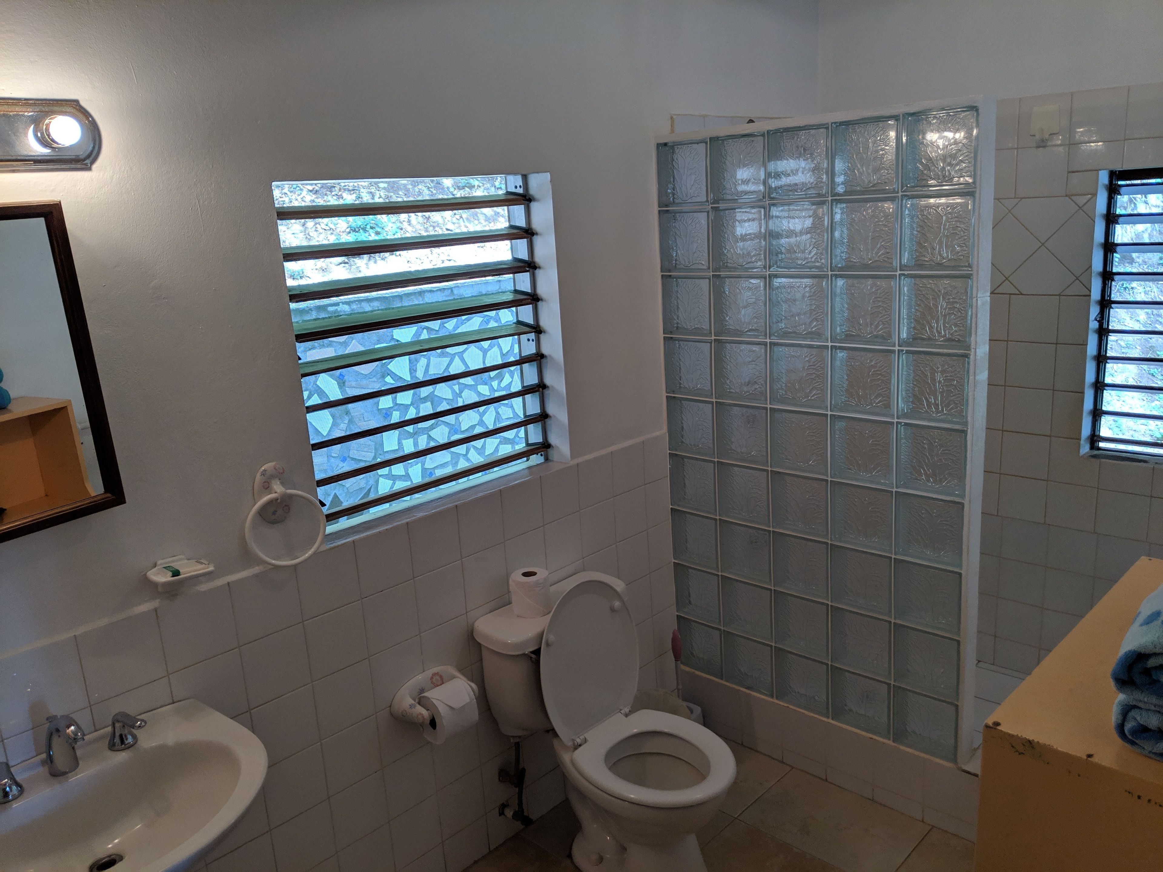 basic cabin, 1 queen bed | bathroom | shower, free toiletries, hair dryer, towels